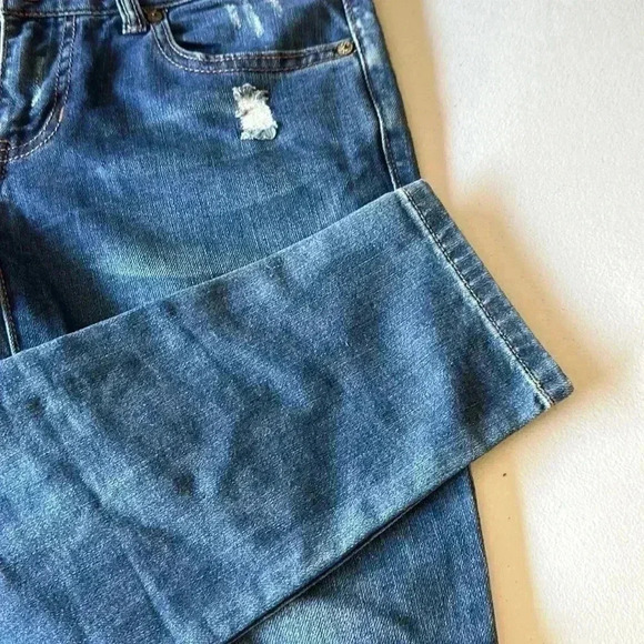 Cabi - Picture 2 of 4